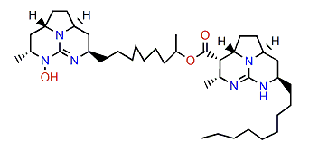 Batzelladine G